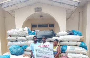 NDLEA Intercepts Military Grade Weapon In Kaduna Arresting Couple