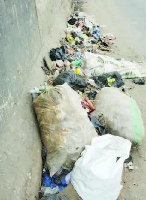 Bag-of-refuse