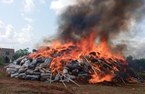 Breaking: NDLEA Destroys ₦2.8 Billion Worth of Illicit Drugs in Major Edo Crackdown