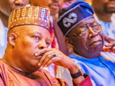 2027 Election: Political Race Heats Up as INEC Publishes Tinubu, Shettima’s Key Details For Public Scrutiny