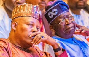 2027 Election: Political Race Heats Up as INEC Publishes Tinubu, Shettima’s Key Details For Public Scrutiny