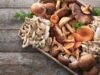 Why You Should Start Eating More Mushrooms Today: 10 Powerful Health Benefits You Can’t Ignore