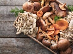 Why You Should Start Eating More Mushrooms Today: 10 Powerful Health Benefits You Can’t Ignore