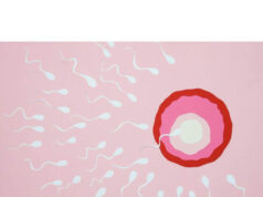 Low Sperm Motility? 10 Natural Ways to Improve Male Fertility and Boost Sperm Health