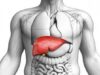Your Liver Is Quietly Suffering — These 6 Everyday Foods Could Be Its Only Defense