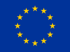 EU Breaks Silence on Nigeria Election Monitoring, Denies Rejecting INEC Invitation