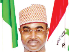 NDLEA, Army Seize 604.5kg Cannabis in Edo, Launch Manhunt for Suspected Drug Kingpin