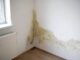 House Hunting? 2 Warning Signs You Should Never Ignore: Mold and Damp Walls
