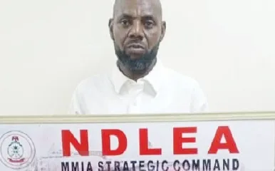 NDLEA_1786913009