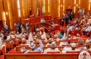Northern Lawmakers Demand Rapid Development On State Police After Adamawa, Sokoto Terror Attacks