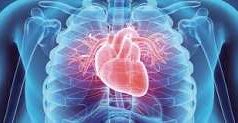 Three Daily Habit You Must Stop To Avoid Sudden Heart Failure