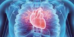 Three Daily Habit You Must Stop To Avoid Sudden Heart Failure