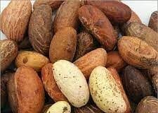 Miracle Nuts, 5 Reasons You Should Eat Bitter Kola