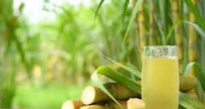 This Common Plant Can Boost Sperm Count
