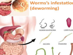 5 Signs Your Body Shows That It Needs To Deworm