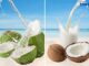 4 Critical Benefits Of Coconut Water And Coconut Milk