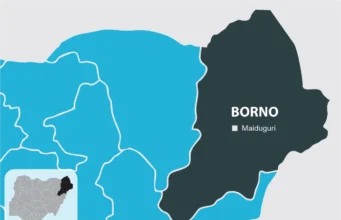2027 Election: Borno Commissioner Face Heavy Backlash Over Threat To Flog Non-APC Supporters
