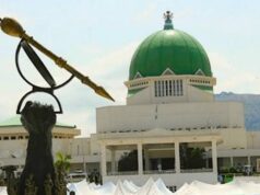 Xenophobia: NASS Takes Tough Action Against South Africa Over Attacks on Nigerians