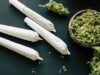 Marijuana Could Affect Fertility In Women And Men, Researchers Warn