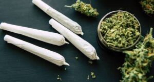 Marijuana Could Affect Fertility In Women And Men, Researchers Warn