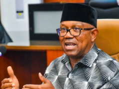 Labour Party Cuts Ties With Arabambi Over Peter Obi Credential Case