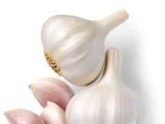 Benefits Of Eating 1 Piece Garlic In The Morning