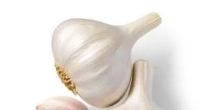 Benefits Of Eating 1 Piece Garlic In The Morning