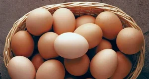 How Many Eggs Should Older Adults Eat Daily to Protect Heart Health?
