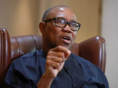 Peter Obi Challenges UNN to Release His Academic Records Amid Fresh Credential Controversy