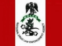 NDLEA Arrests Mexican Drug Kingpin, Uncovers Industrial Meth Lab in Ebonyi