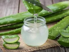 Aloe Vera for Acne: Can This Natural Remedy Really Help Your Skin?