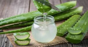 Aloe Vera for Acne: Can This Natural Remedy Really Help Your Skin?