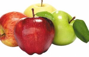 8 Foods That Can Help Fight Bad Breath and Keep Your Mouth Fresh