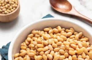 Soya Beans: 7 Important Health Benefits You Should Know