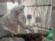 Kenya Records First Ever Ebola Death After Man Returns From DR Congo